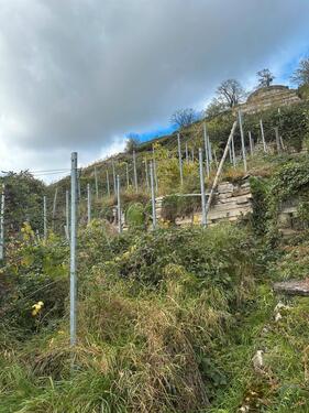 Foto - Grundstück zur Miete in Asperg