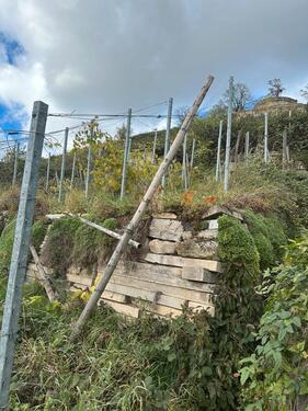 Foto - Grundstück in Asperg zur Miete