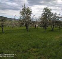 Garten in Tübingen-kilchberg zu vermieten
