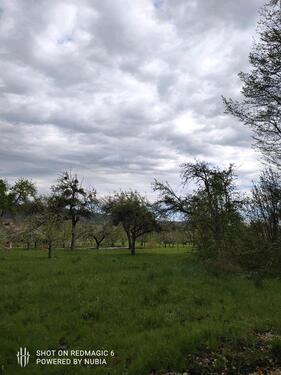 Foto - Grundstück zur Miete in Tübingen