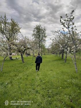 Foto - Grundstück in Tübingen