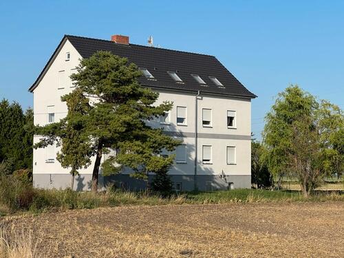 Foto - 48 Zimmer andere in Magdeburg