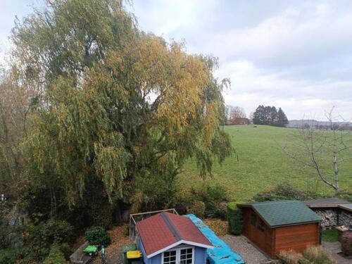 Foto - Einfamilienhaus in Ascheberg (Holstein)