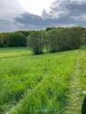 Foto - Wiese Bäume - 2.400,00&nbsp;EUR Kaltmiete, ca.&nbsp; 0,00&nbsp;m&sup2;