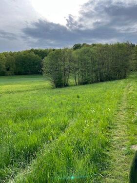 Foto - Wiese Bäume - 2.400,00&nbsp;EUR Kaltmiete, ca.&nbsp; 0,00&nbsp;m&sup2;