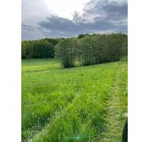 Wiese Bäume - 2.400,00&nbsp;EUR Kaltmiete, ca.&nbsp; 0,00&nbsp;m&sup2; in Hohenahr (PLZ: 35644)