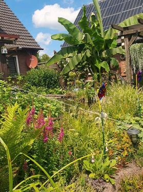 Foto - 6 Zimmer Einfamilienhaus zum Kaufen in Ahaus