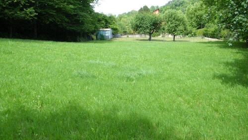 Foto - Großes Grundstück zu verkaufen - 60.000,00&nbsp;EUR Kaufpreis, ca.&nbsp; 20,00&nbsp;m&sup2;&nbsp;Wohnfl&auml;che