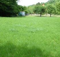 Großes Grundstück zu verkaufen - 60.000,00&nbsp;EUR Kaufpreis, ca.&nbsp; 20,00&nbsp;m&sup2;&nbsp;Wohnfl&auml;che in Amt Creuzburg (PLZ: 99831)