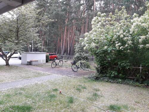 Foto - 2 Zimmer Hochparterre in Cottbus