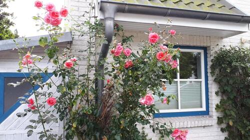 Foto - Ruhig gelegenes, helles Endreihenhaus in Timmendorfer Strand