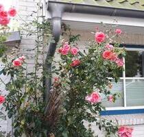 Ruhig gelegenes, helles Endreihenhaus in Timmendorfer Strand