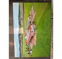 Aussiedlerhof in Münsterhausen alleinlage