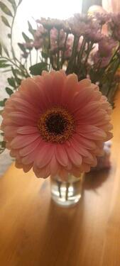 Foto - Grundstück mit Altlast, Baugrundstück