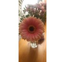 Grundstück mit Altlast, Baugrundstück - Tremsbüttel