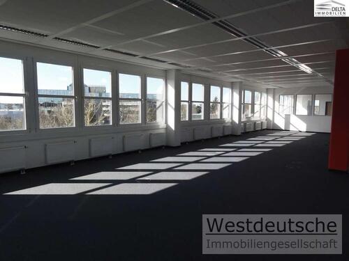 Foto - +++ Provisionsfrei +++ Frisch renovierte 427 m² große Fläche Nähe Flughafen neu zu vermieten.