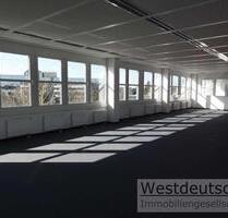 +++ Provisionsfrei +++ Frisch renovierte 427 m² große Fläche Nähe Flughafen neu zu vermieten. - Ratingen Tiefenbroich