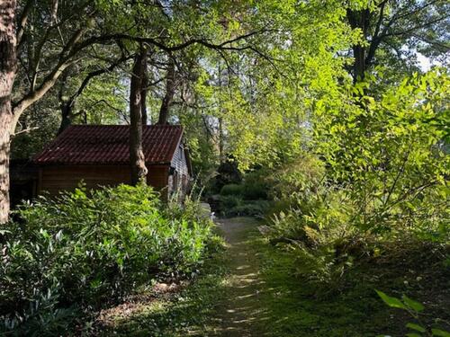 Foto - kleines Holzhaus - nix für jeden, sehr besonders
