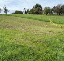 Garten zu verpachten - 60,00&nbsp;EUR Kaltmiete, ca.&nbsp; 0,00&nbsp;m&sup2; in Bühl (PLZ: 77815)