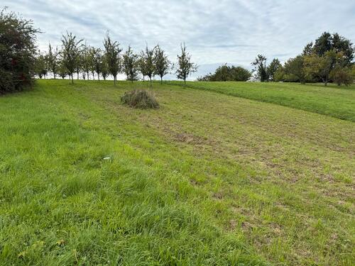 Foto - Grundst&uuml;ck zur Miete in Bühl
