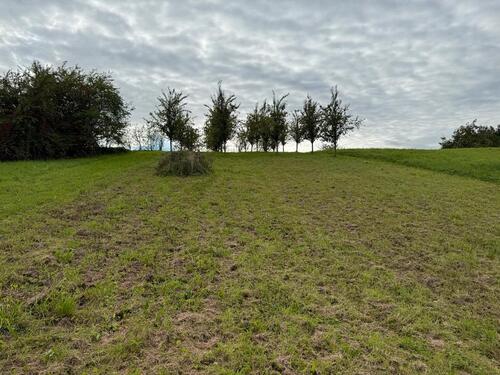 Foto - Grundst&uuml;ck in Bühl