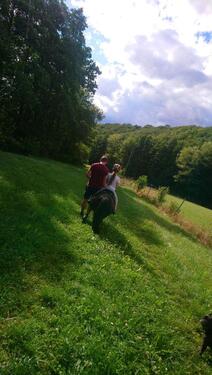 Foto - 2.5 Zimmer Hochparterre zur Miete in Wilsdruff