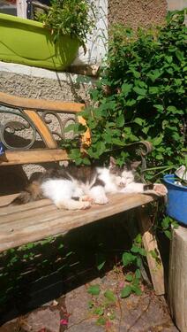 Foto - 2.5 Zimmer Hochparterre in Wilsdruff