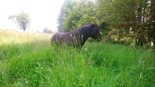 Foto - Hochparterre in Wilsdruff zur Miete