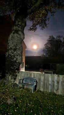 Foto - 2 ZIMMER WOHNUNG 29439 JEETZEL - 400,00 EUR Kaltmiete, ca.  50,00 m²