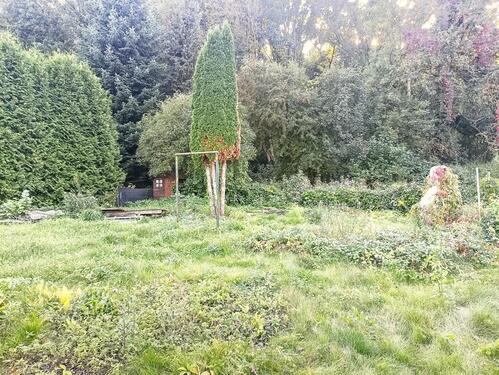 Foto - Grundstück in Nossen zur Miete