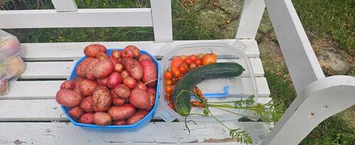 Foto - Grundst&uuml;ck in Halle (Saale) zur Miete