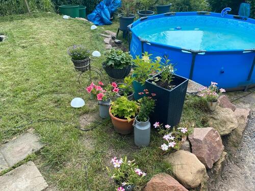 Foto - Grundst&uuml;ck in Meißen