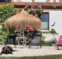 möbliertes idyllisch gelegenes 1 Zimmer Apartment - Gieboldehausen