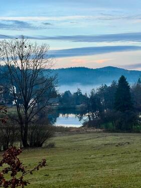 Foto - Ferienhaus Bayerischer Wald -ruhig gelegen, Hunde erlaubt