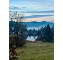 Ferienhaus Bayerischer Wald -ruhig gelegen, Hunde erlaubt - Falkenstein