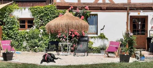 Foto - Etagenwohnung in Gieboldehausen