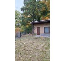 Kleingarten Pachtgarten Schrebergarten abzugeben - Zwickau Auerbach