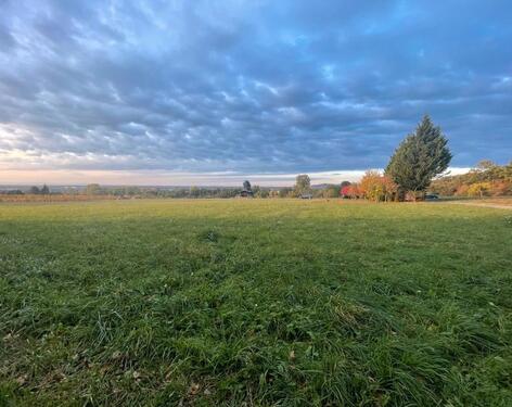 Foto - Wiese Acker Streuobstwiese Pferdekoppel Garten pachten