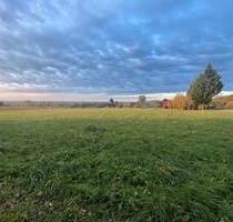 Wiese Acker Streuobstwiese Pferdekoppel Garten pachten - Bad Schönborn