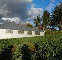 1725 m²+Haus+Garten+2 Hallen im Außenbereich - Bretten