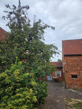 Foto - Einfamilienhaus zum Kaufen in Schönhausen (Elbe)