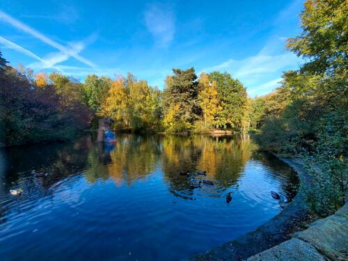 Foto - Schöne 1,5 Zi. Wohnung in Nürnberg am See im Grünen
