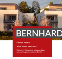 Penthouse-Erstbezug in Steinen-Höllstein: 2-Zimmer+großer Balkon