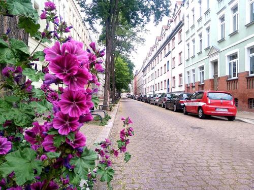 Foto - Ruhige Lage in der südlichen Innenstadt. 2- Raumwohnung mit Gasetagenheizung und grünem Innenhof