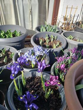 Foto - 2 Zimmer Etagenwohnung in Aachen