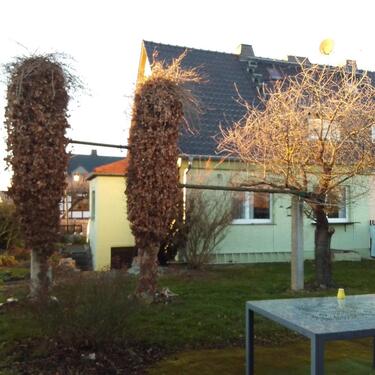 Foto - 5 Zimmer Doppelhaushälfte zum Kaufen in Langenwetzendorf