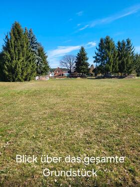 Foto - Einfamilienhaus in Krauschwitz i. d. O.L. zum Kaufen