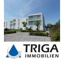 Wohntraum am See! - 1.146,00 EUR Kaltmiete, in Nordhausen (PLZ: 99734)