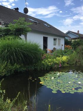 Foto - andere in Uhldingen-Mühlhofen