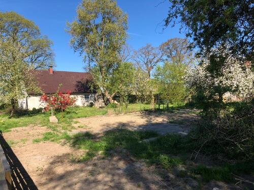 Foto - Einfamilienhaus zum Kaufen in Ducherow